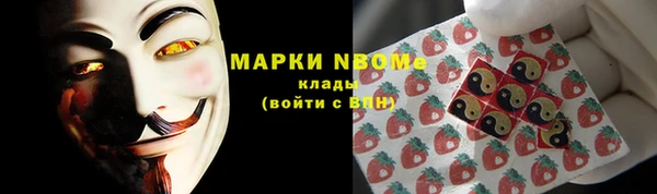 тгк Дедовск