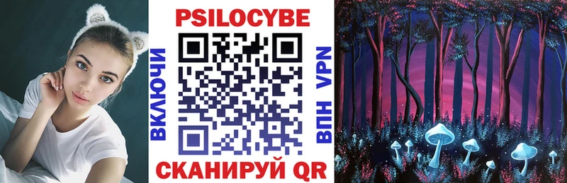 Галлюциногенные грибы GOLDEN TEACHER  Мглин 