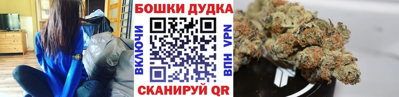 Конопля сатива  магазин продажи наркотиков  Мглин 